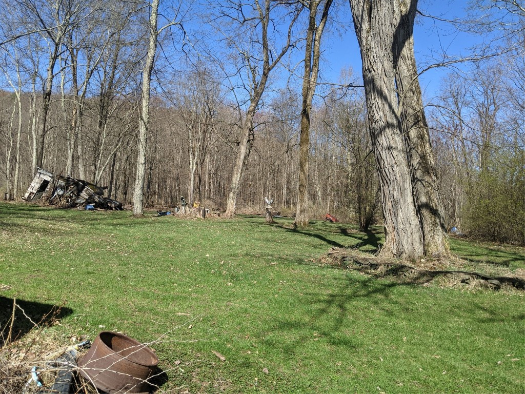 525 Hoadley Hill Road Windsor, NY 13865 - Photo 2 of 9 Gallery Image 2
