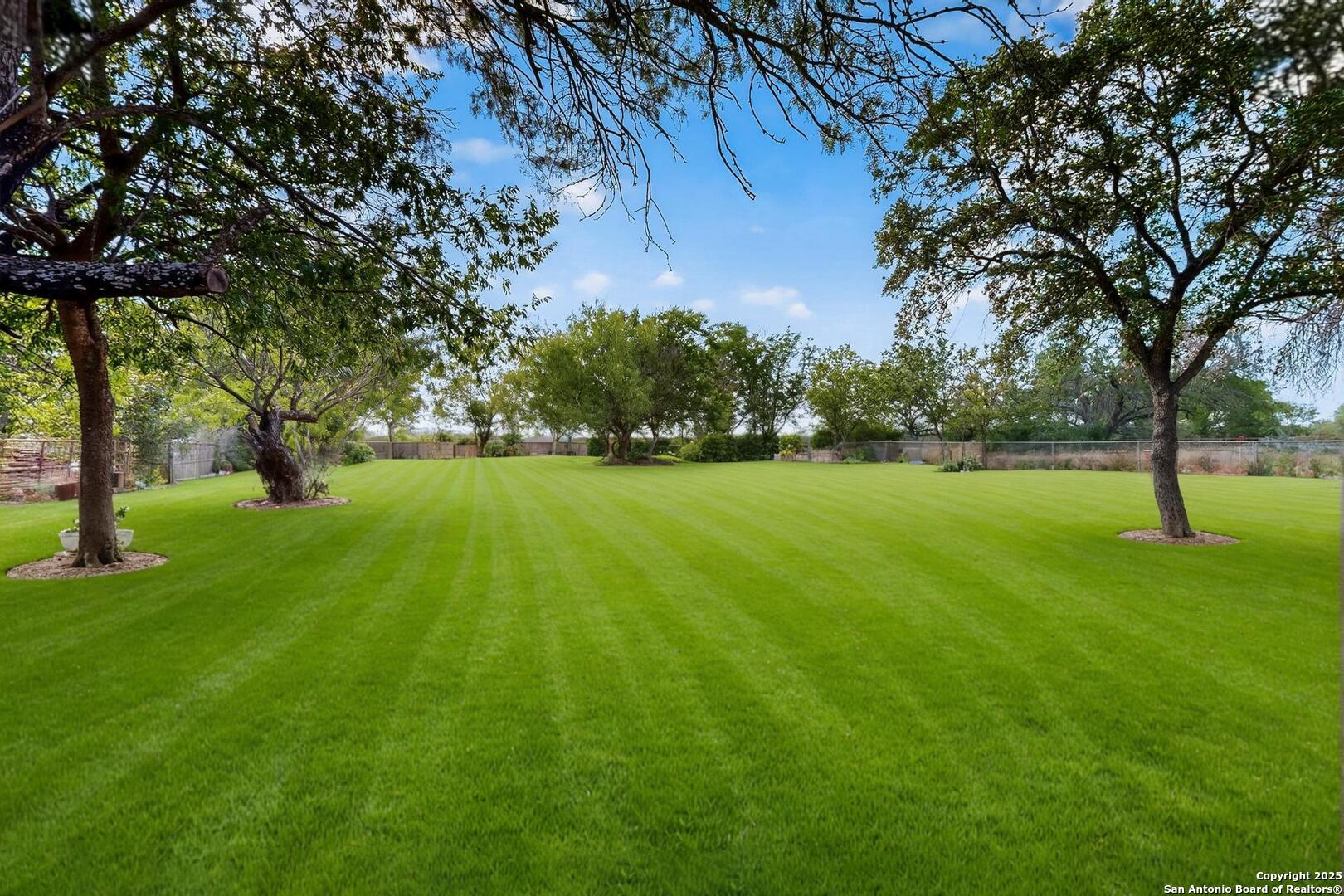 7140 Tree Bend Street China Grove, TX 78263 - Photo 49 of 49 a view of yard with trees