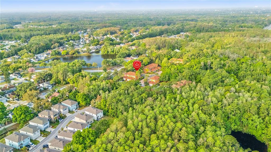 2353 Max Court New Port Richey, FL 34655 - Photo 41 of 49