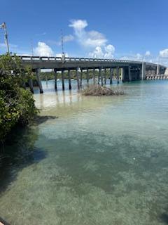 225 South Beach Road, Unit 205 Jupiter, FL 33469 - Photo 5 of 39 IMG_7663