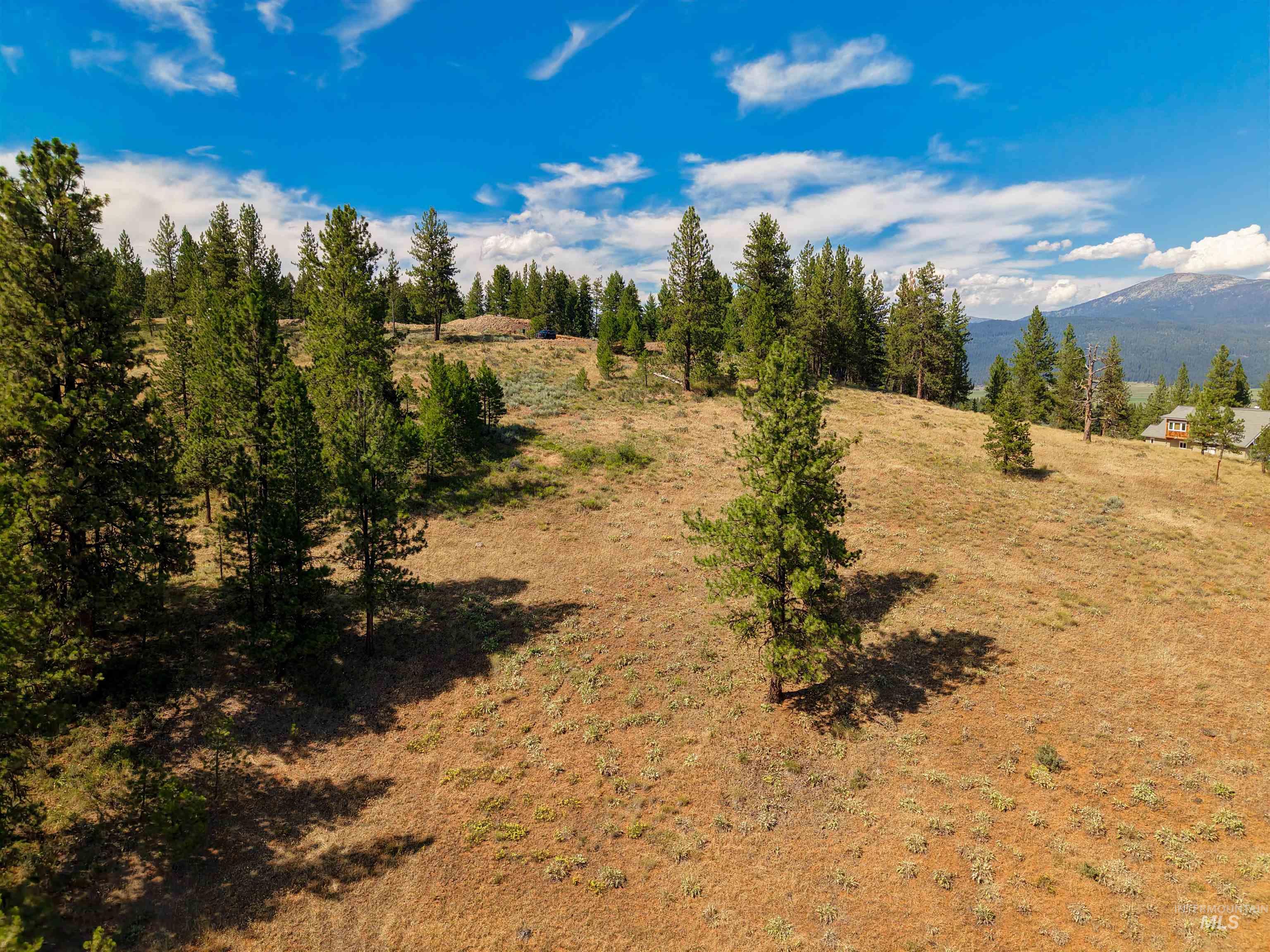 Tbd Tbd Eagle Feather Road New Meadows, ID 83654 - Photo 9 of 21 Gallery Image 9