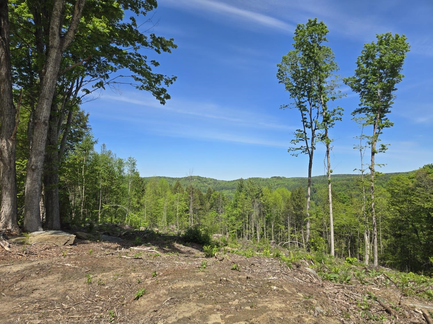 0 Vt Route, Unit LOT 1 Bethel, VT 05032 - Photo 1 of 10