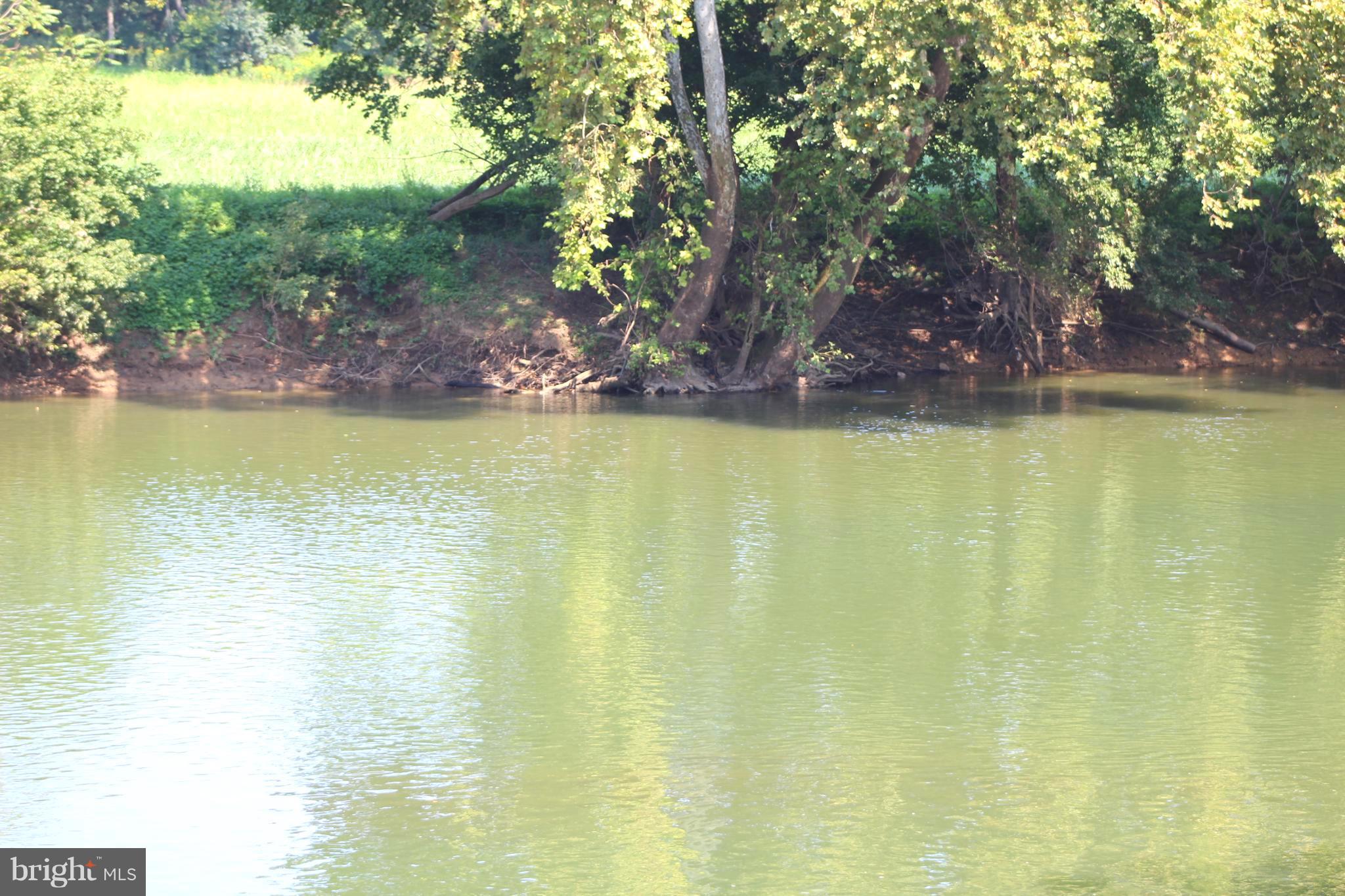 Farms Riverview Road Front Royal, VA 22630 - Photo 5 of 15 a view of a lake view