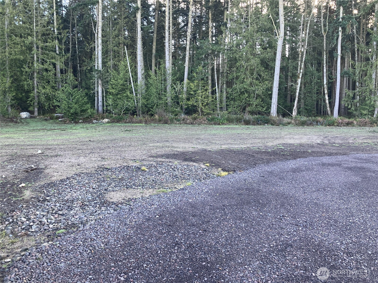 81 Butterfly Lane Sequim, WA 98382 - Photo 3 of 10