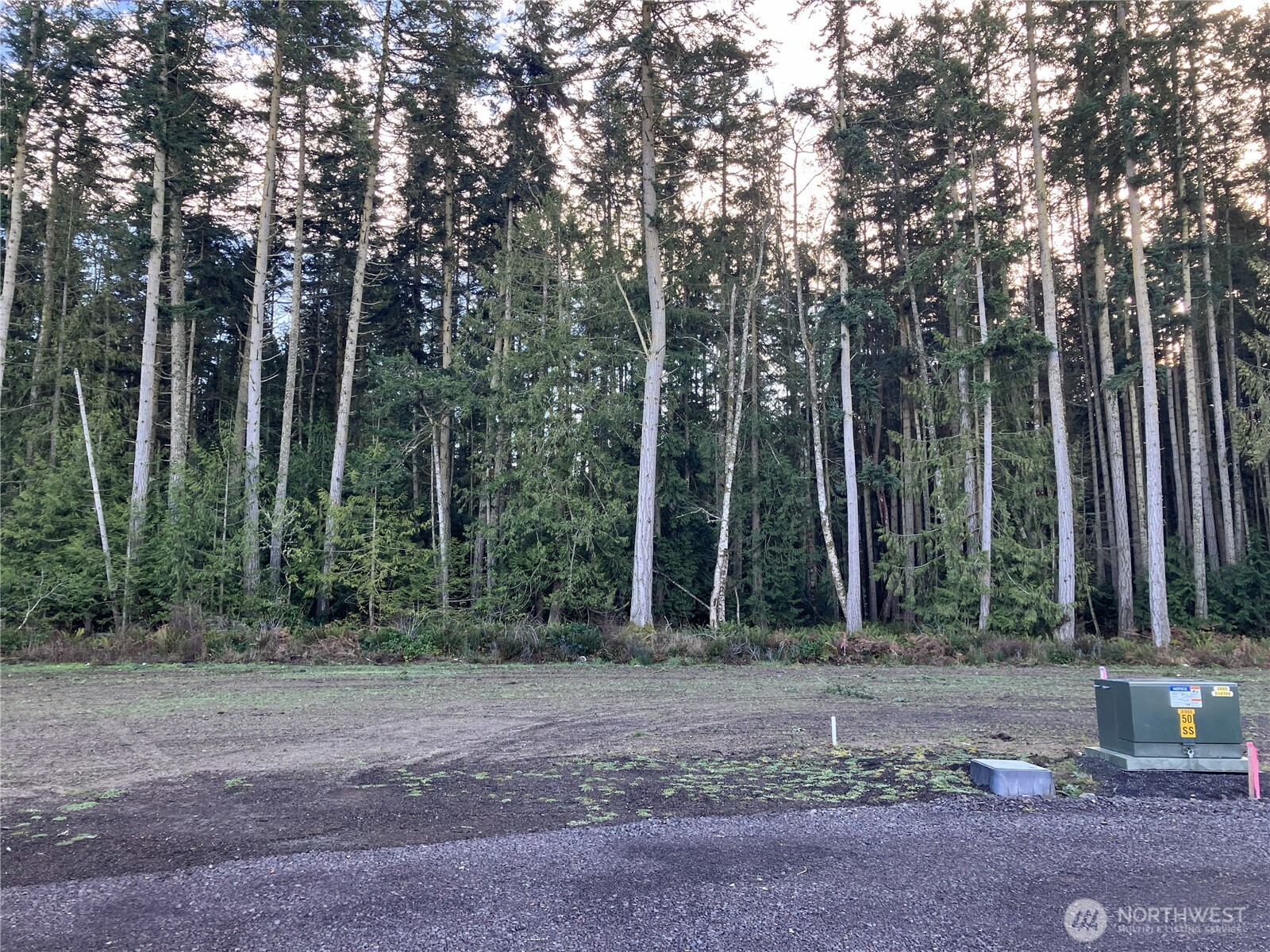 81 Butterfly Lane Sequim, WA 98382 - Photo 5 of 10