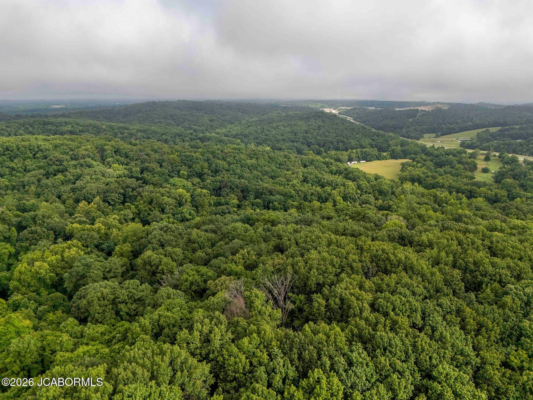 Tbd Talley Road Hartsburg, MO 65039 - Photo 73 of 106
