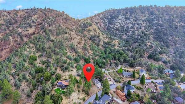 a view of a bunch of flowers in front of a building