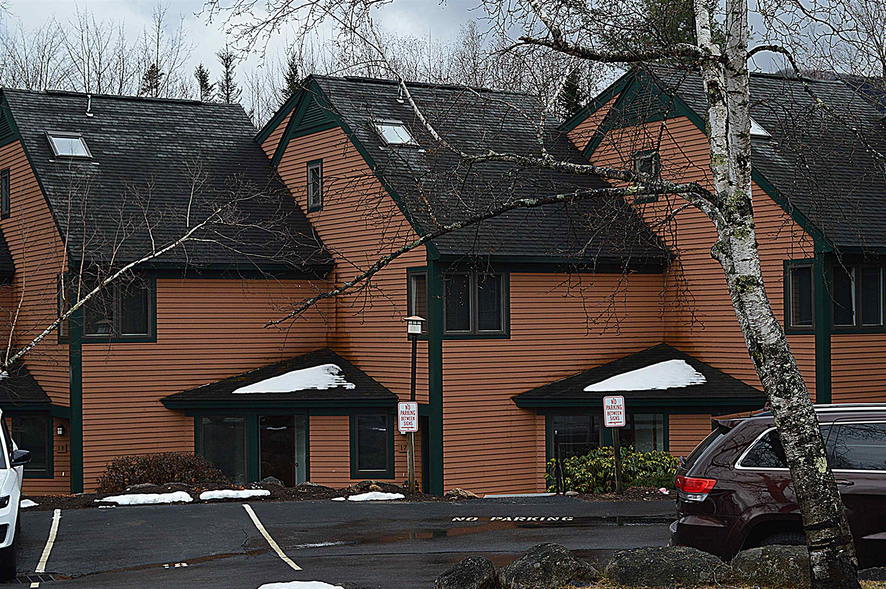 9 Mountain Sun Way, Unit 17B Waterville Valley, NH 03215 - Photo 6 of 30