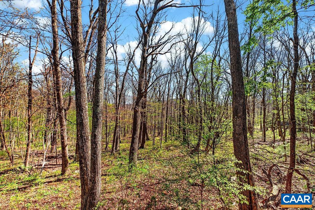 952 Blue Ridge Drive Roseland, VA 22967 - Photo 5 of 51