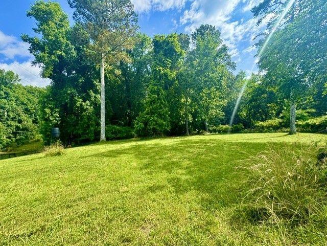 15575 Thompson Road Alpharetta, GA 30004 - Photo 13 of 15