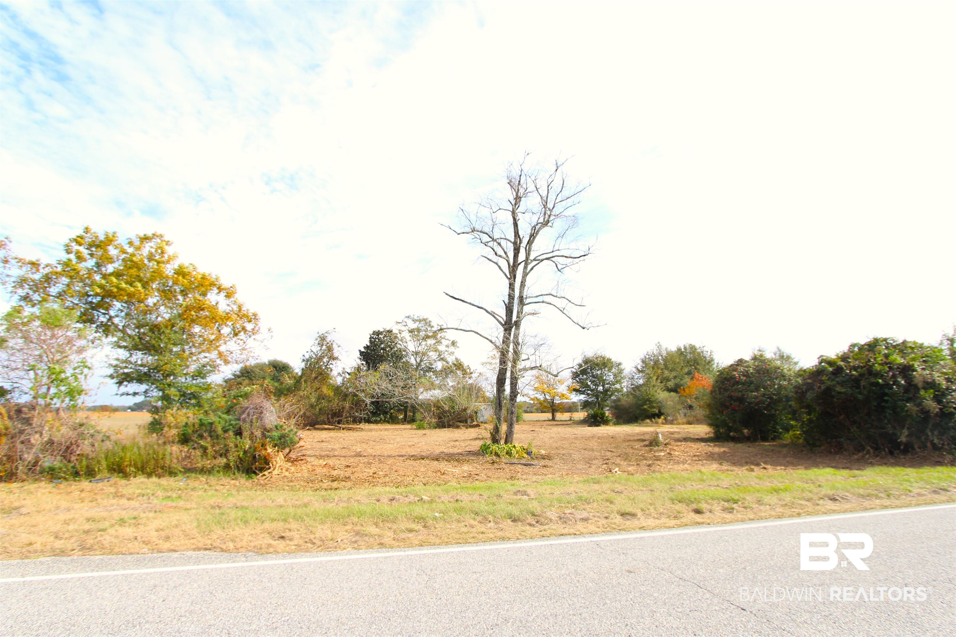 15274 Daugherty Road Foley, AL 36535 - Photo 4 of 5 Saga Palms