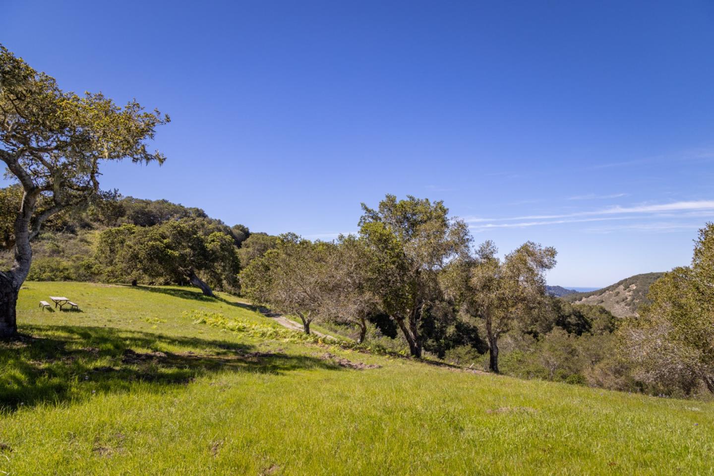 8 Corral Run Carmel, CA 93923 - Photo 7 of 15