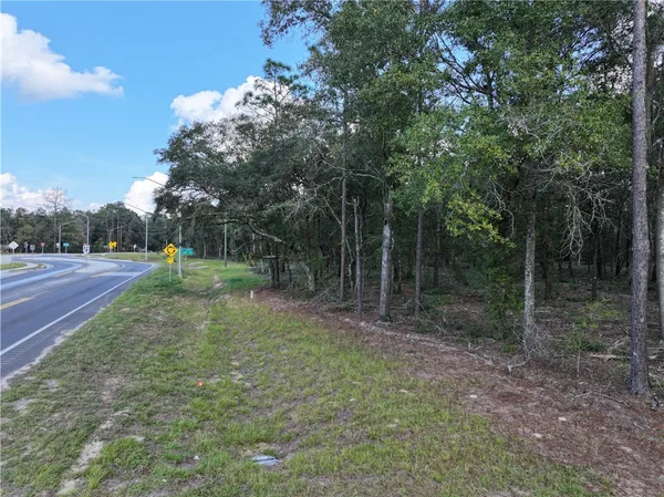 $677,385 | 1 Spring Grove Road, Jesup, GA 31545