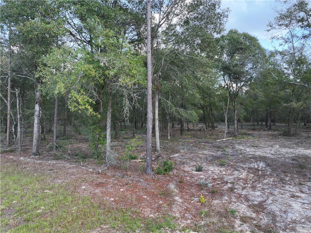 1 Spring Grove Road Jesup, GA 31545 - Photo 2 of 9