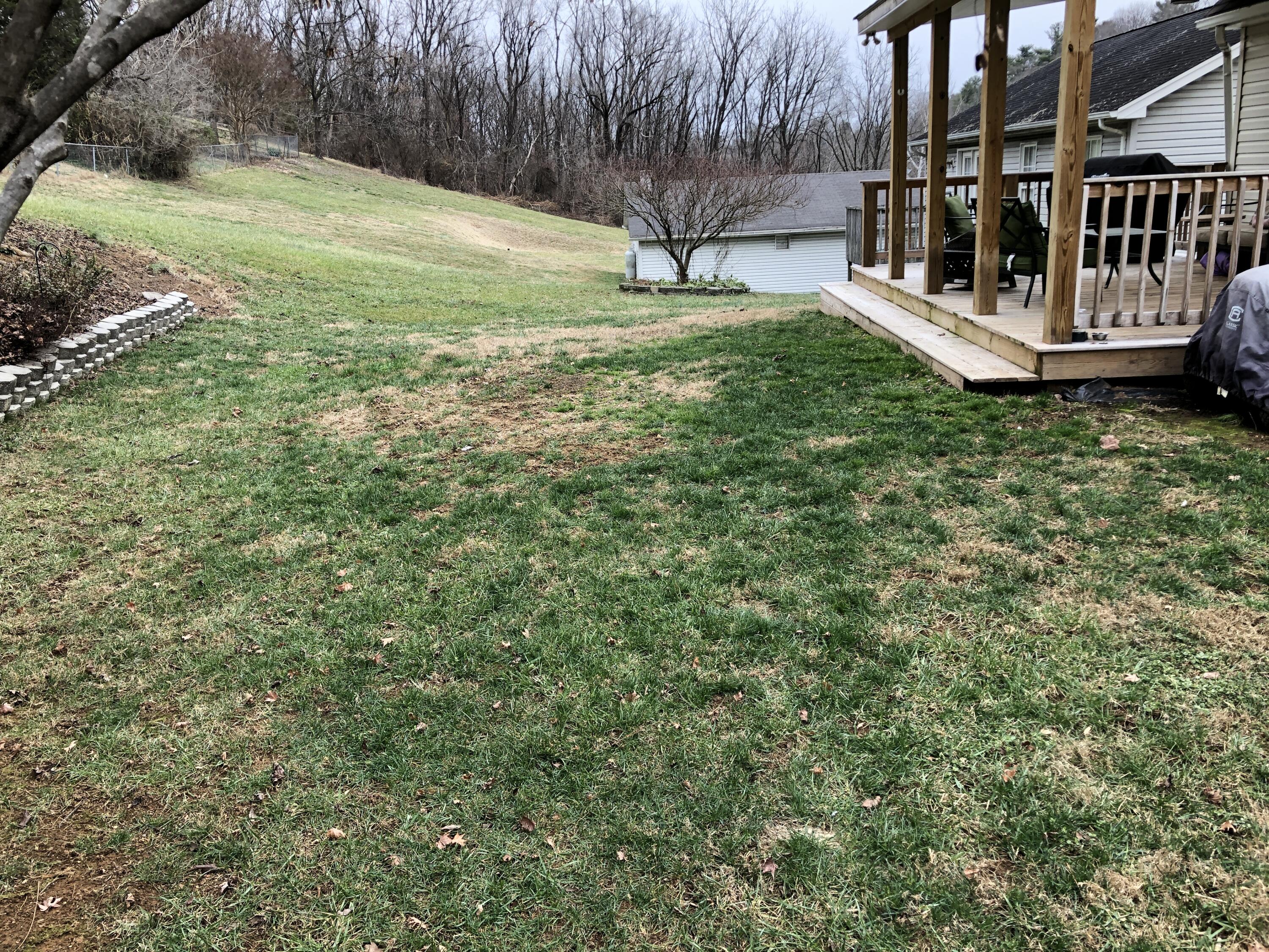 2620 Shull Road Northeast Roanoke, VA 24012 - Photo 45 of 49 Back Yard
