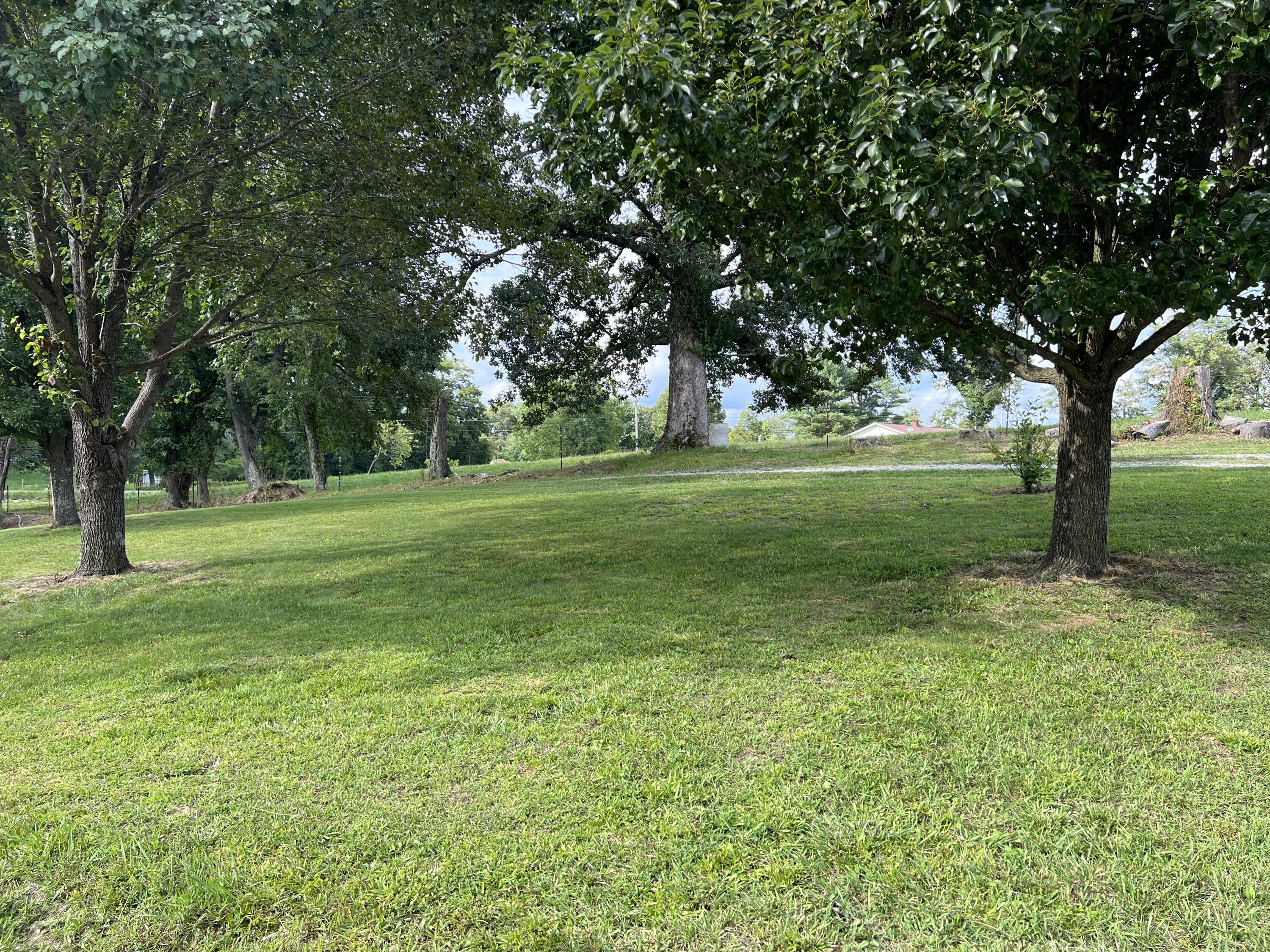237 Round Top Road Strunk, KY 42649 - Photo 8 of 18 B657F06C-1DA9-4F79-9C97-188AA5B1EC67