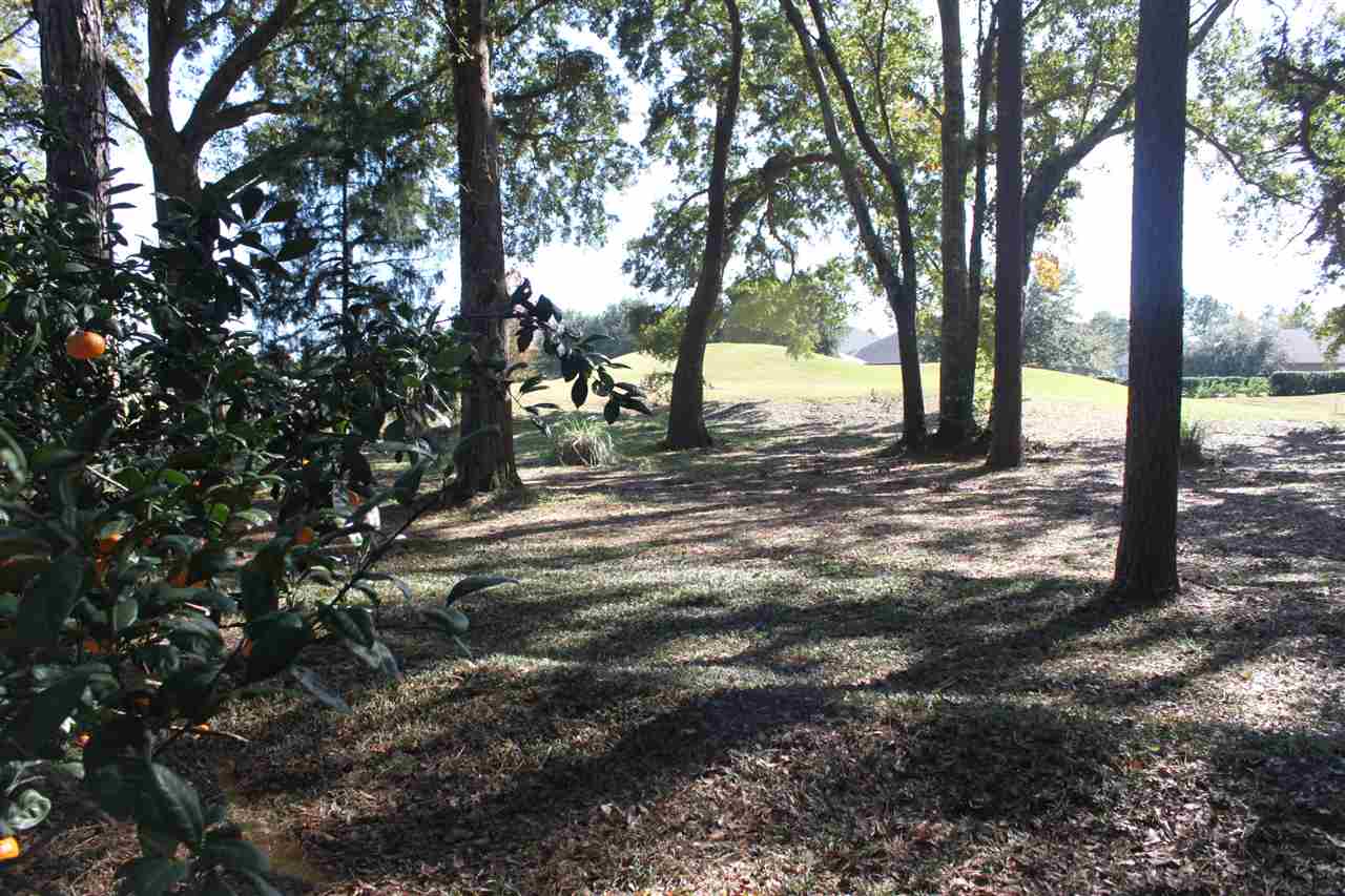 23148 Miflin Road Foley, AL 36535 - Photo 8 of 34