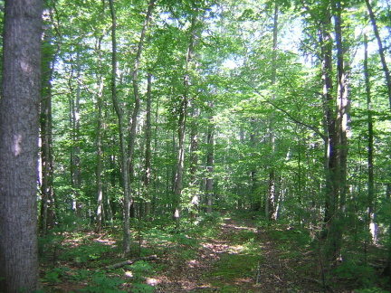 0 Puppy Creek Road Stuart, VA 24171 - Photo 11 of 11 View