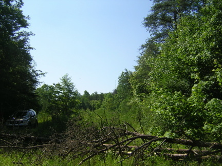0 Puppy Creek Road Stuart, VA 24171 - Photo 4 of 11 View