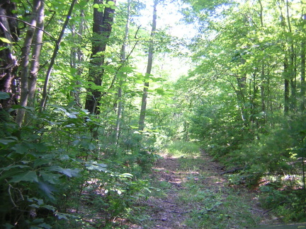 0 Puppy Creek Road Stuart, VA 24171 - Photo 6 of 11 View