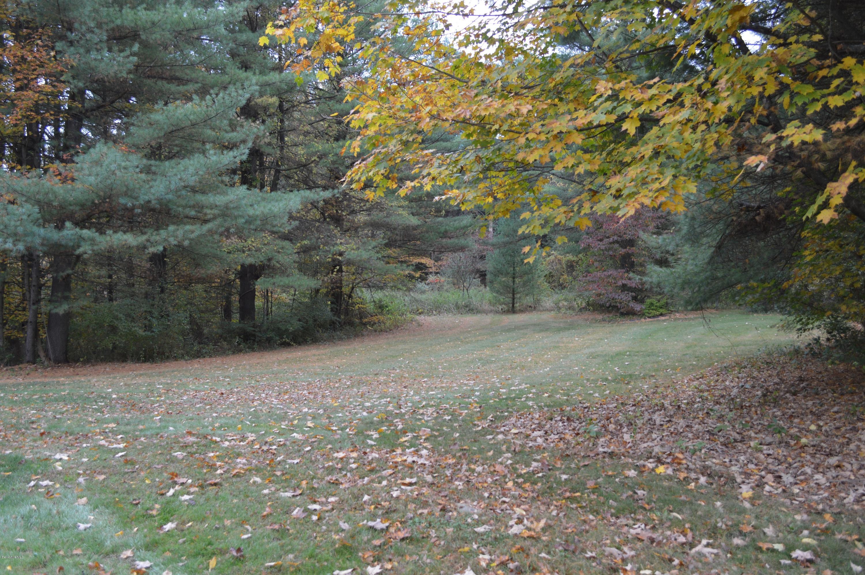 67 Main Road Tyringham, MA 01238 - Photo 20 of 20 a view of a yard with a tree