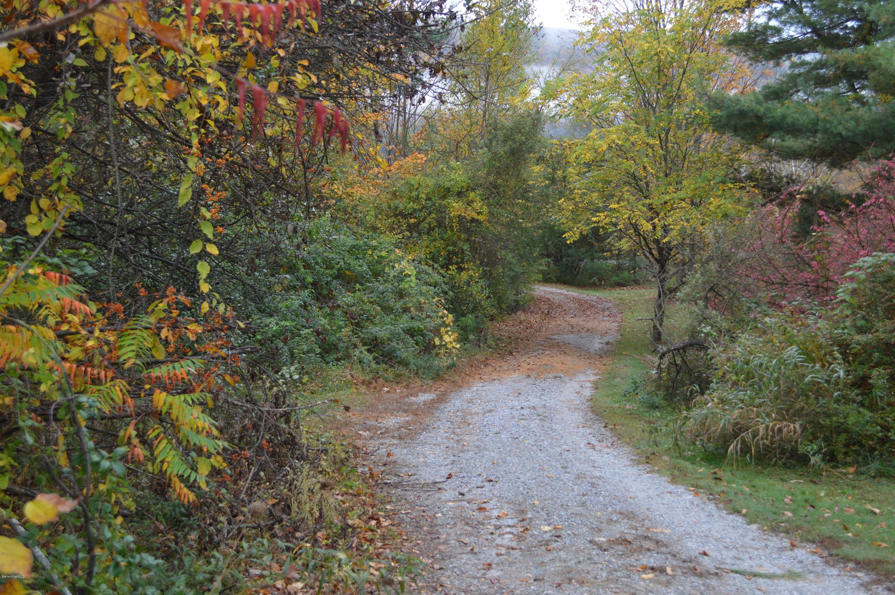 67 Main Road Tyringham, MA 01238 - Photo 3 of 20 a view of a dirt pathway both side of a road