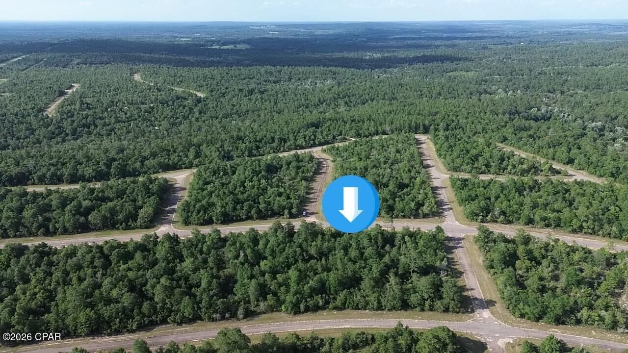 Lot 15 Firetower Road, Unit 11 Chipley, FL 32428 - Photo 3 of 8