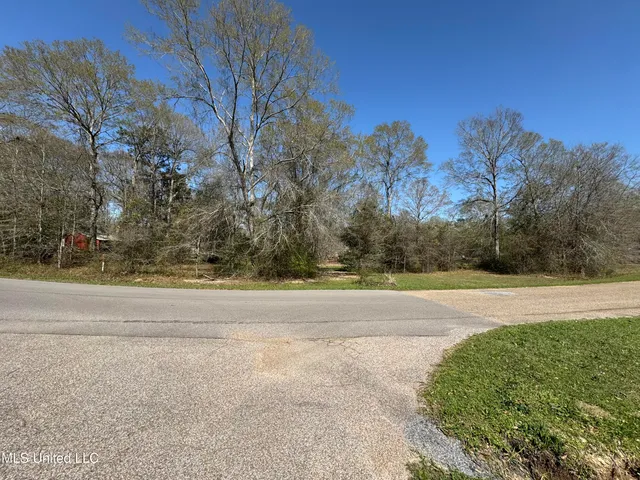 $11,500 | 0 Cedar Wood Drive, Perkinston, MS 39573