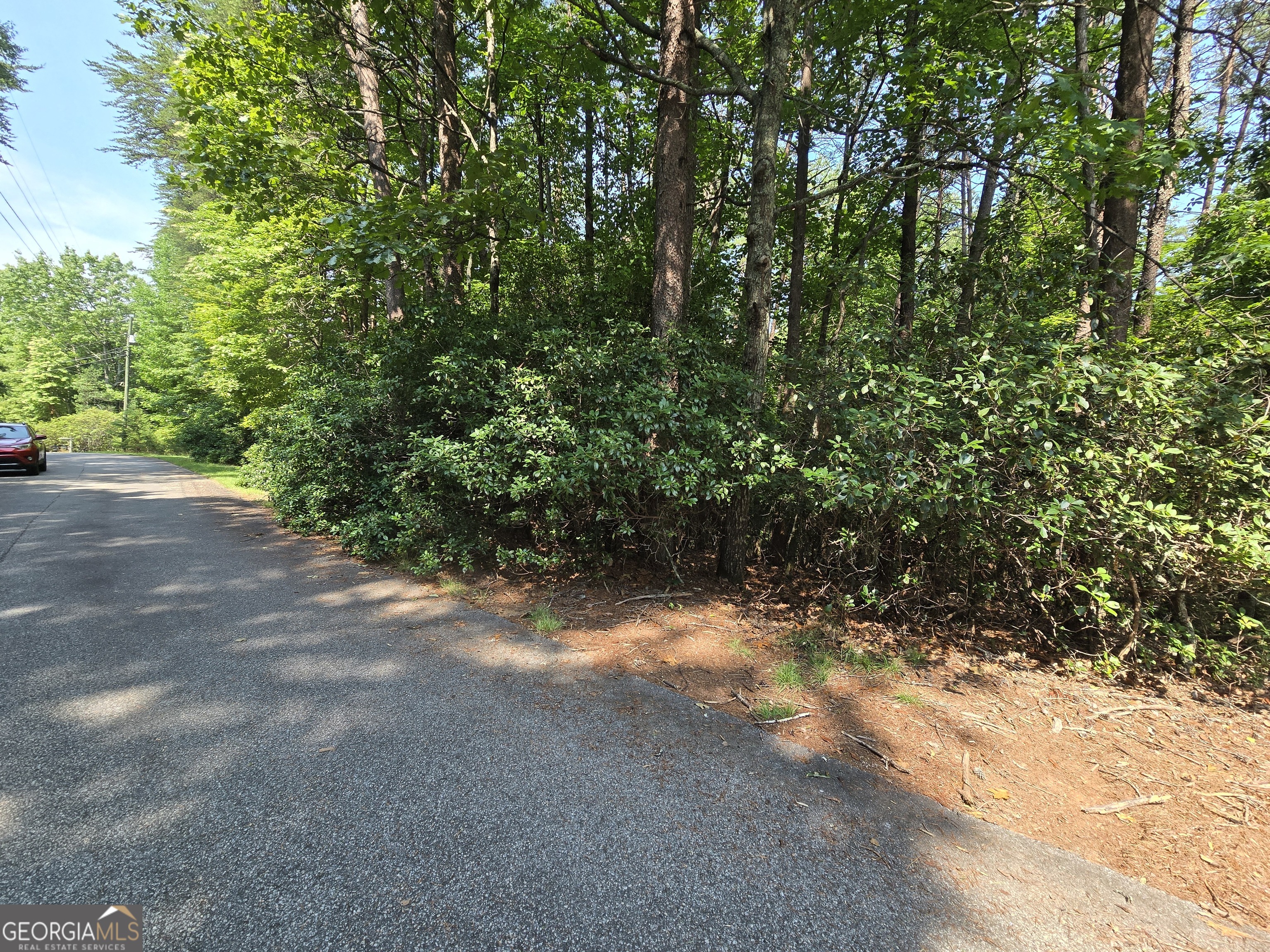 C2 Quail Run Sautee Nacoochee, GA 30571 - Photo 4 of 17