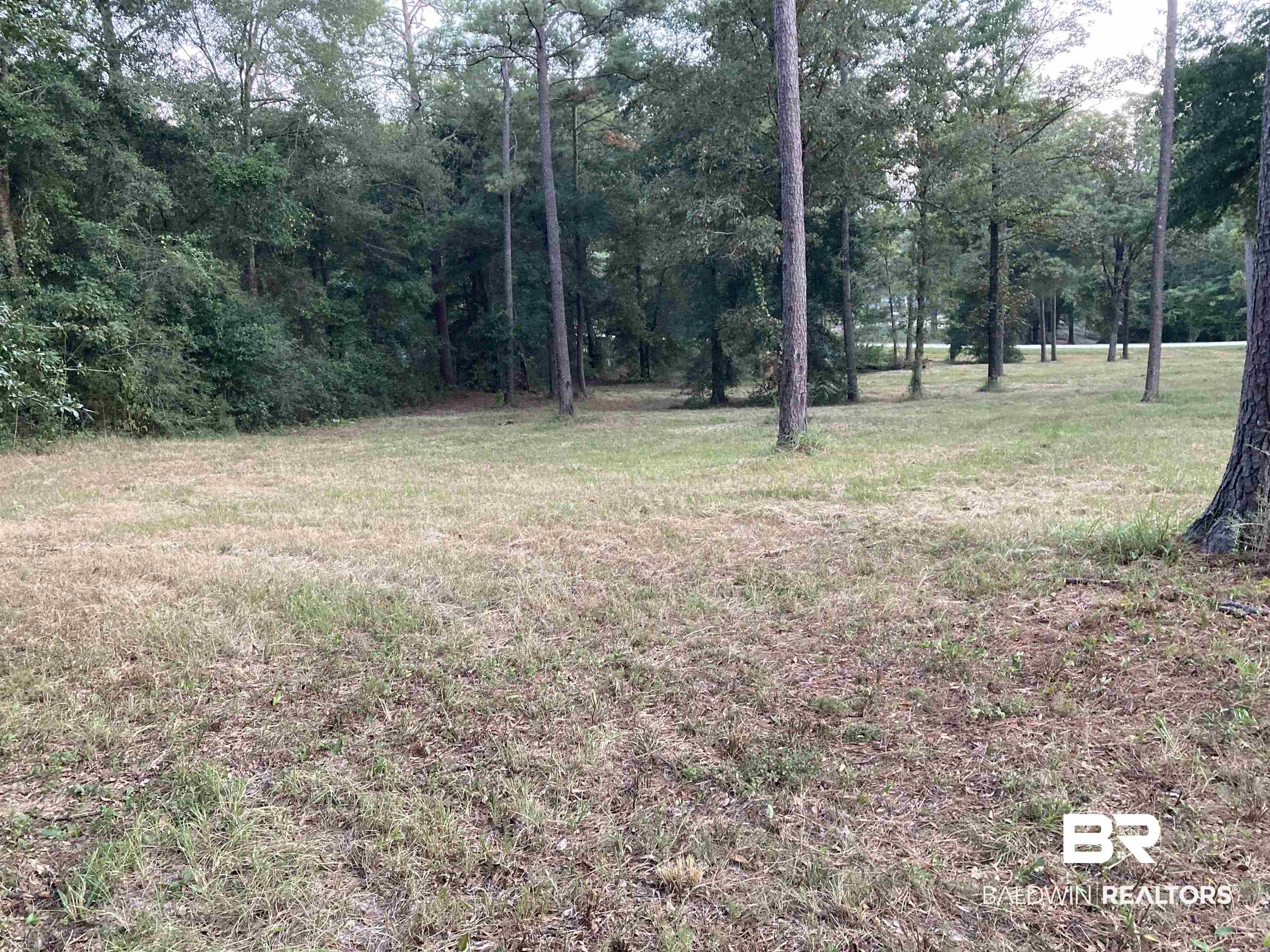 15400 Amazon Drive Wilmer, AL 36587 - Photo 4 of 6