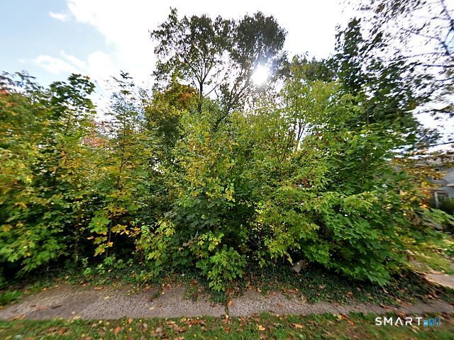 37 Richard Street New Britain, CT 06053 - Photo 1 of 7 a view of a yard