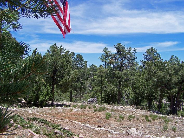 3453 Carefree Road Heber, AZ 85928 - Photo 12 of 15 YARD