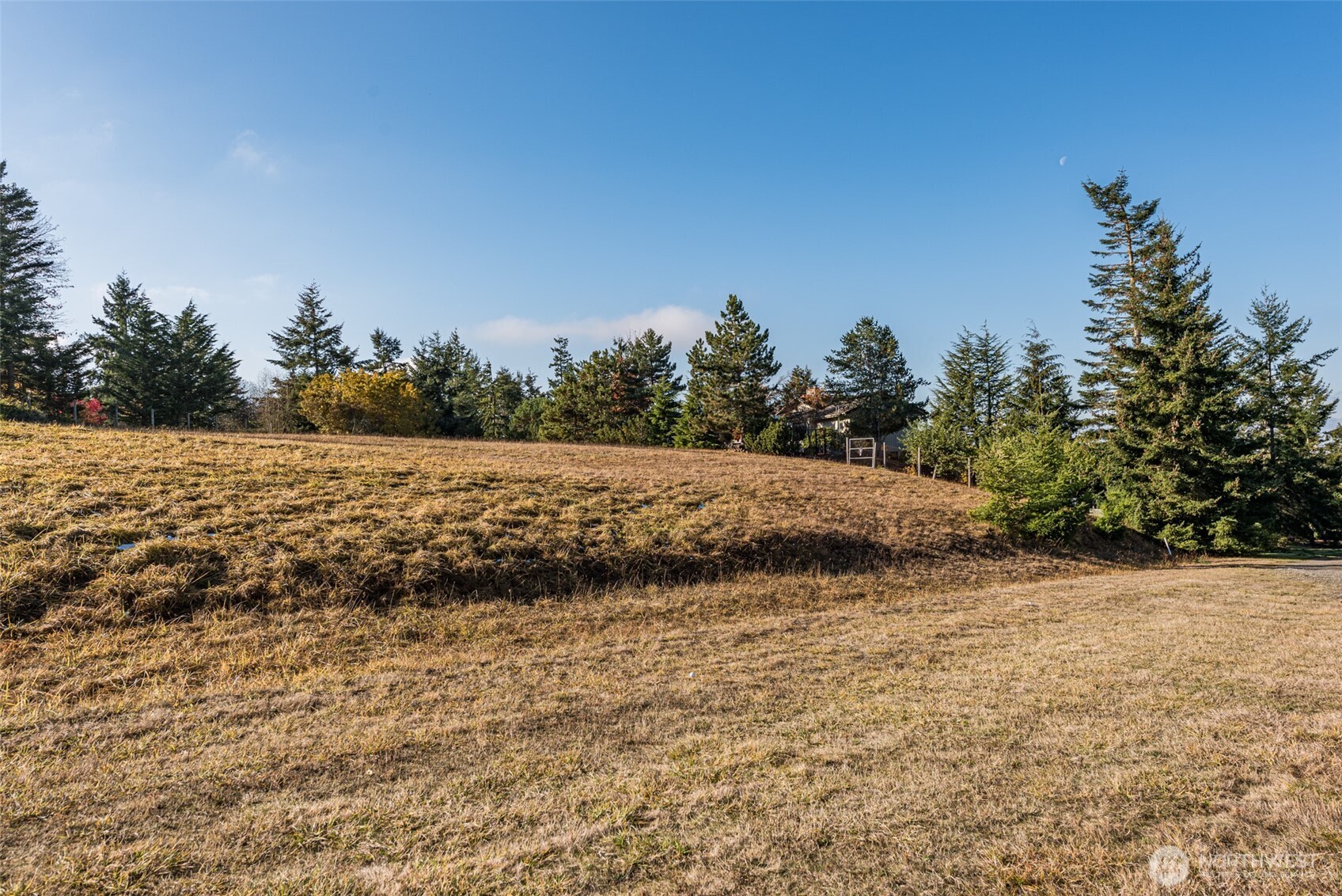 9999 Doe Run Road, Unit LOT 4 Sequim, WA 98382 - Photo 16 of 32