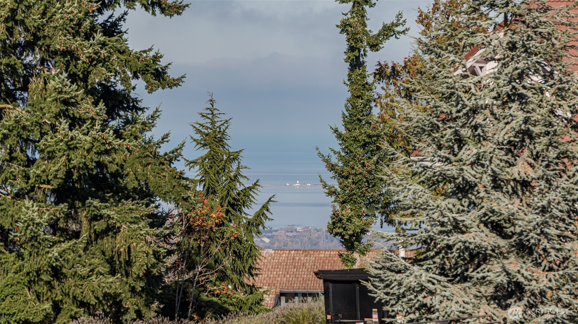 9999 Doe Run Road, Unit LOT 4 Sequim, WA 98382 - Photo 21 of 32