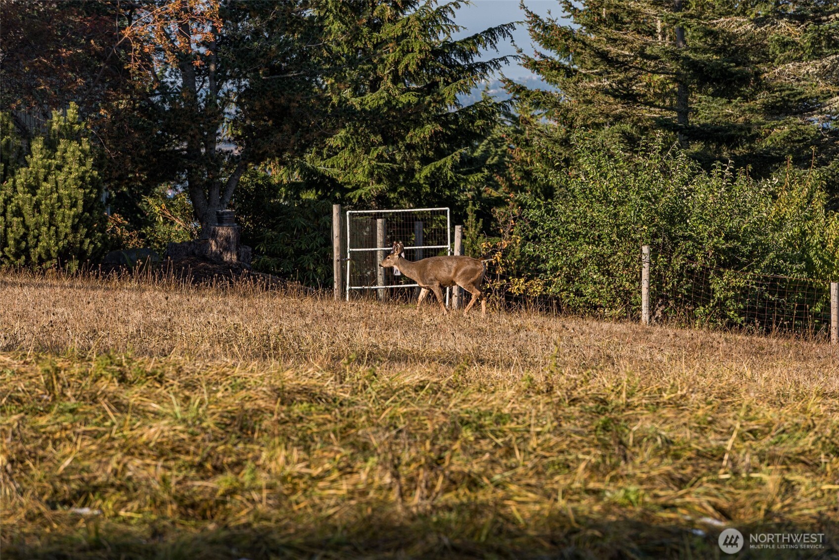 9999 Doe Run Road, Unit LOT 4 Sequim, WA 98382 - Photo 29 of 32