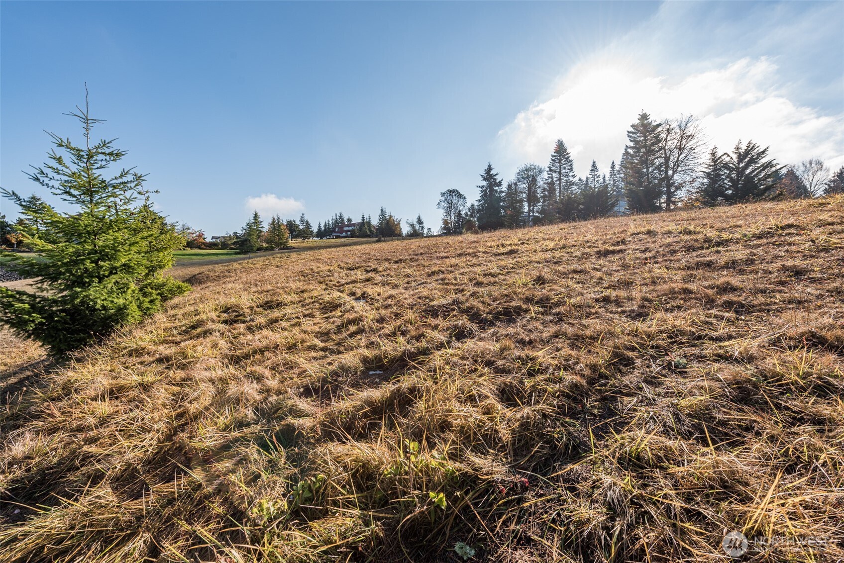 9999 Doe Run Road, Unit LOT 4 Sequim, WA 98382 - Photo 31 of 32
