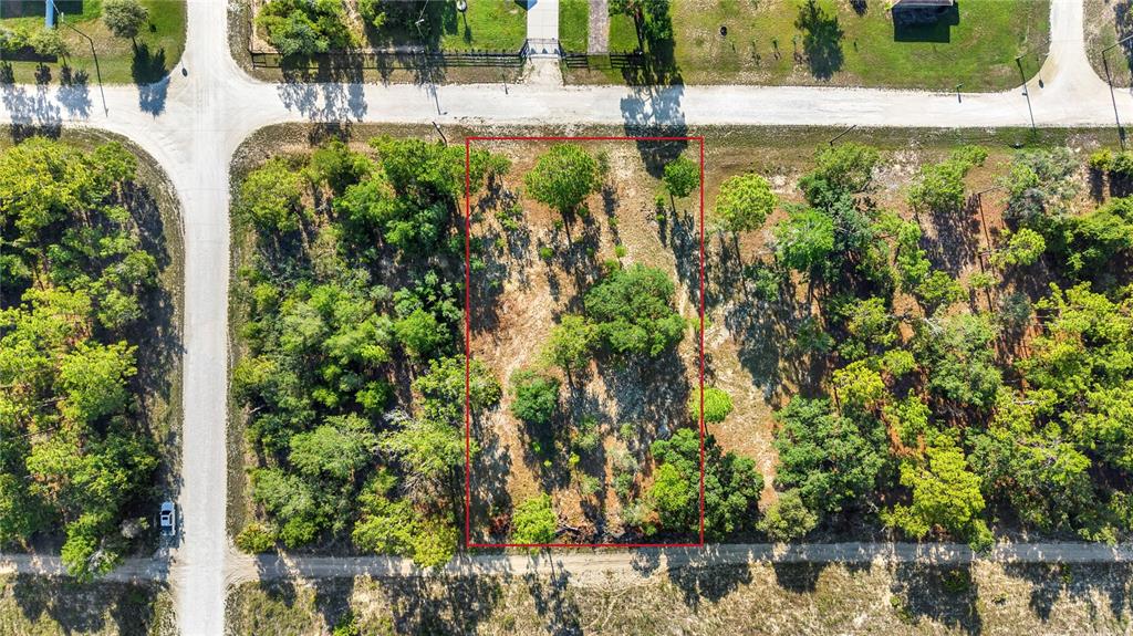0 Condor Road Brooksville, FL 34614 - Photo 5 of 19