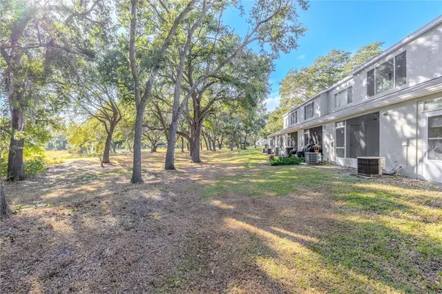 a view of a trees with yard