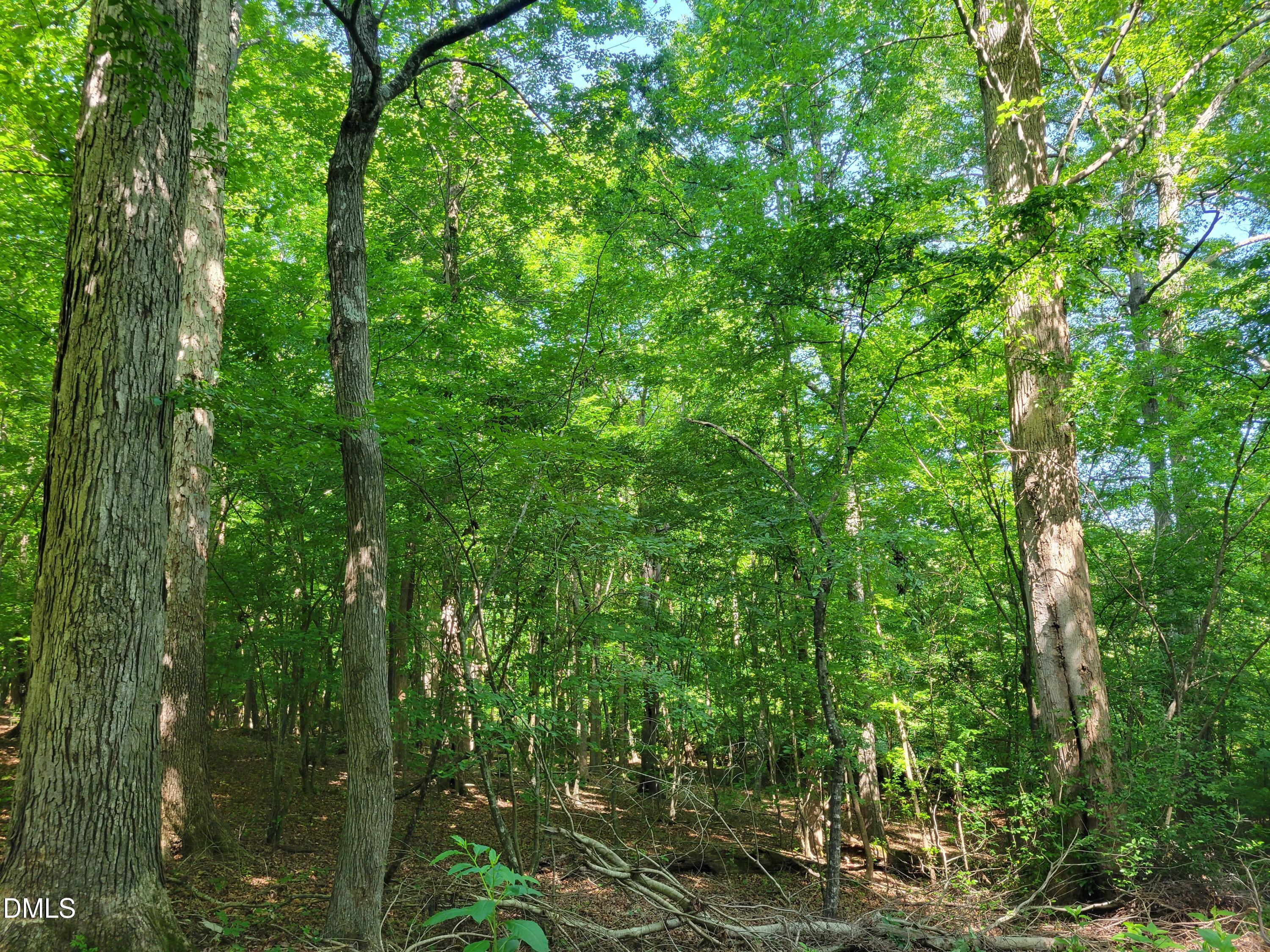 0 Hicks Farm Road Staley, NC 27355 - Photo 10 of 30 20260529_103718