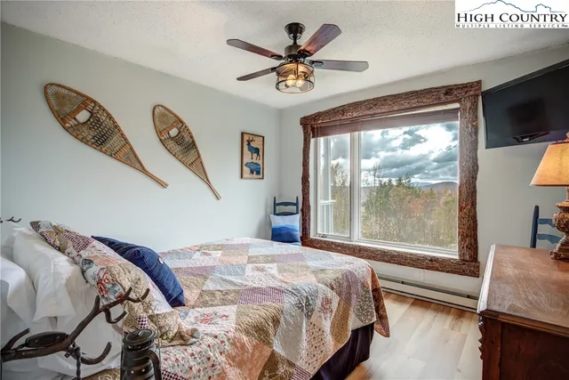 a view of a yard from a window