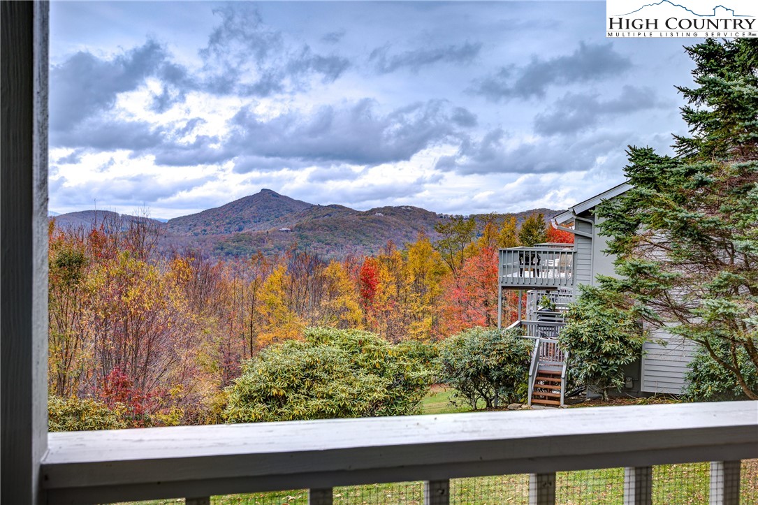 367 Skyleaf Drive, Unit D8 Banner Elk, NC 28604 - Photo 26 of 43 a view of a yard from a window
