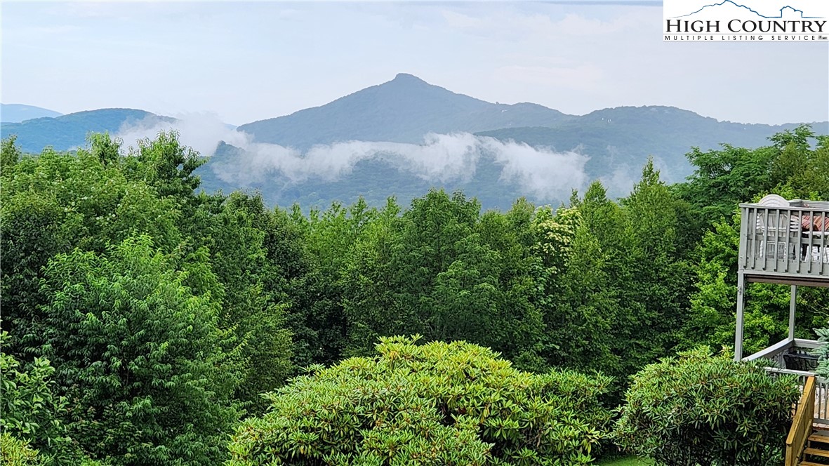 367 Skyleaf Drive, Unit D8 Banner Elk, NC 28604 - Photo 32 of 43 a view of a lush green hillside and a building in the background