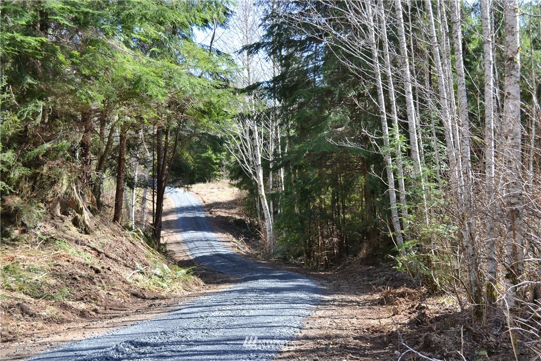 999 Lords Lake Loop Road Quilcene, WA 98376 - Photo 1 of 14