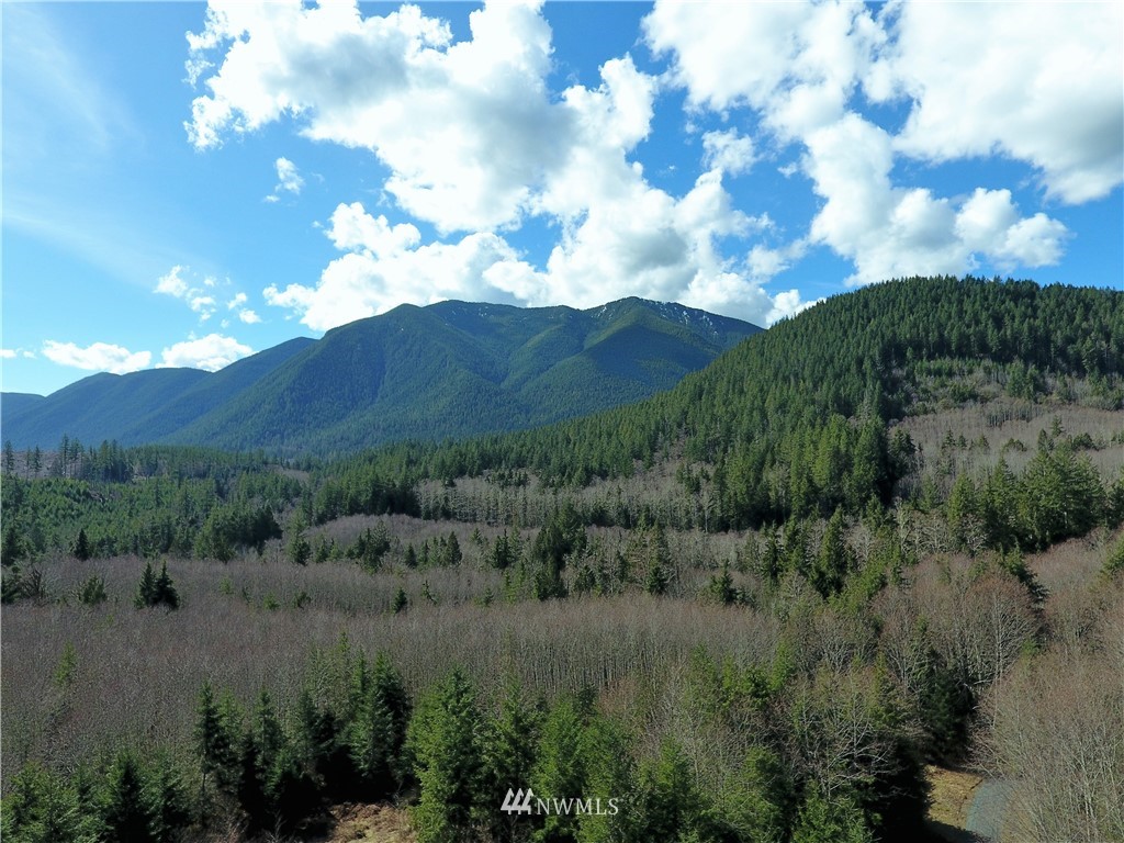 999 Lords Lake Loop Road Quilcene, WA 98376 - Photo 2 of 14