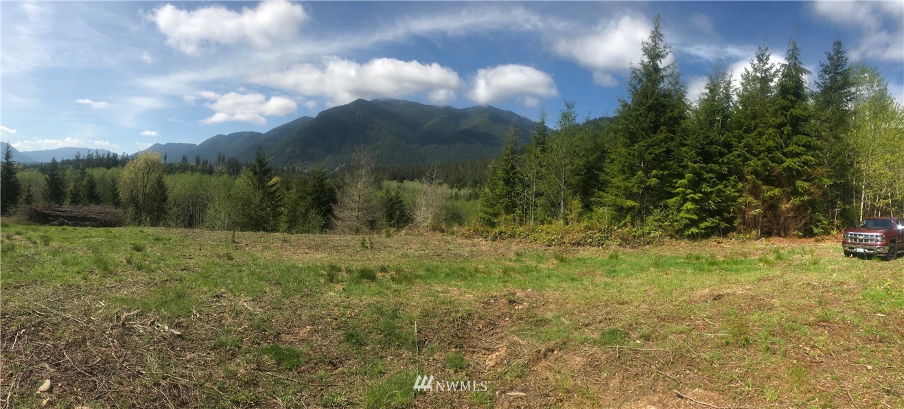 999 Lords Lake Loop Road Quilcene, WA 98376 - Photo 13 of 14