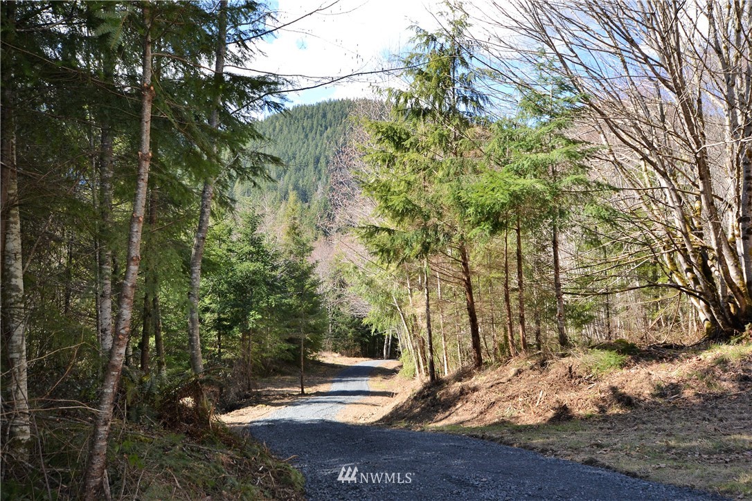 999 Lords Lake Loop Road Quilcene, WA 98376 - Photo 4 of 14
