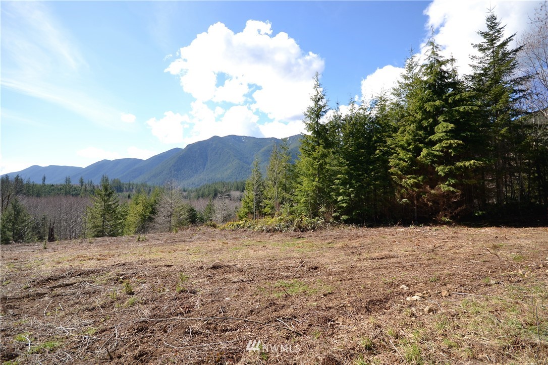 999 Lords Lake Loop Road Quilcene, WA 98376 - Photo 5 of 14