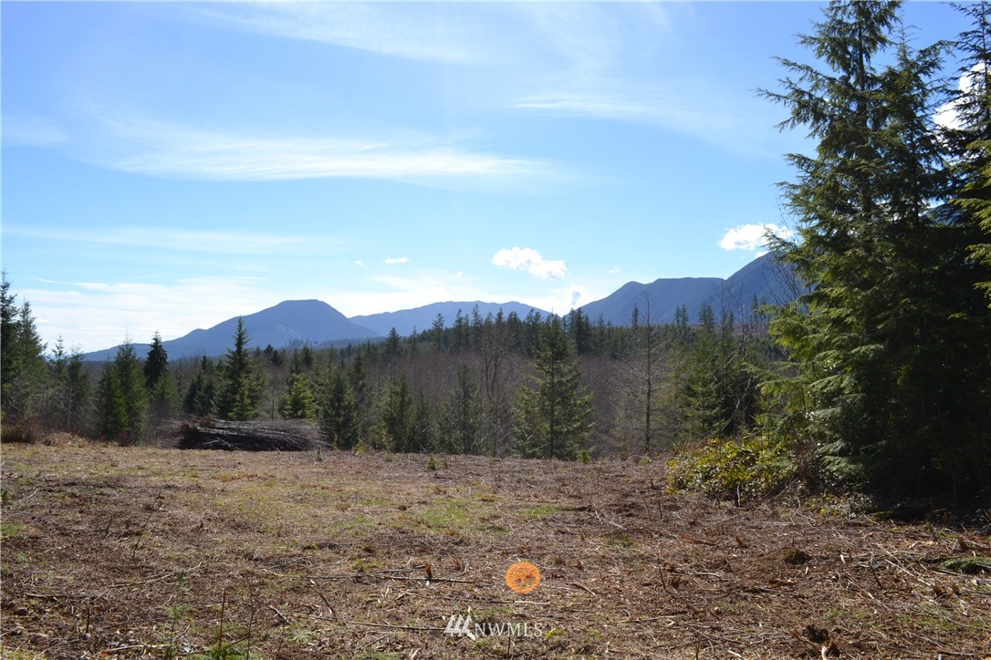 999 Lords Lake Loop Road Quilcene, WA 98376 - Photo 6 of 14