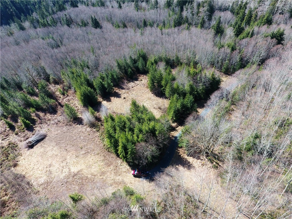 999 Lords Lake Loop Road Quilcene, WA 98376 - Photo 7 of 14