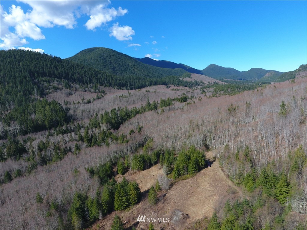 999 Lords Lake Loop Road Quilcene, WA 98376 - Photo 8 of 14